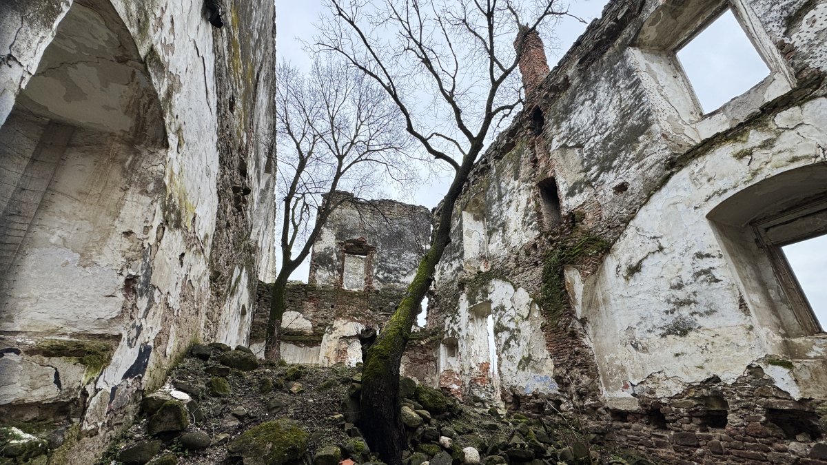 Foto_MG.JPG